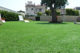 The Pros & Cons of Artificial Turf Grass